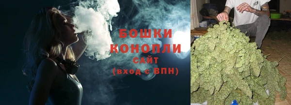 гашик Краснослободск