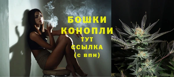 гашик Краснослободск