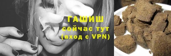 гашик Краснослободск