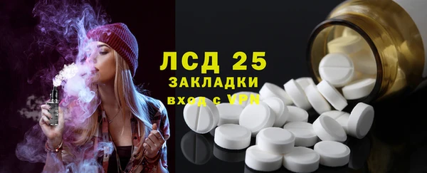 гашик Краснослободск