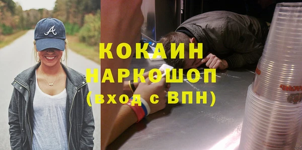 гашик Краснослободск