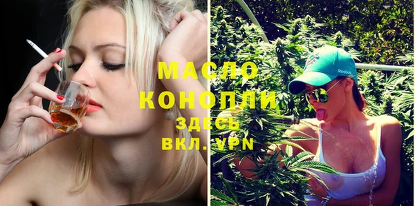 гашик Краснослободск