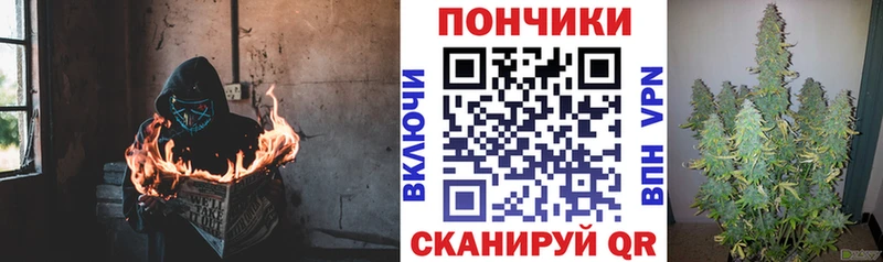 Конопля план  Купить где  Новосокольники 